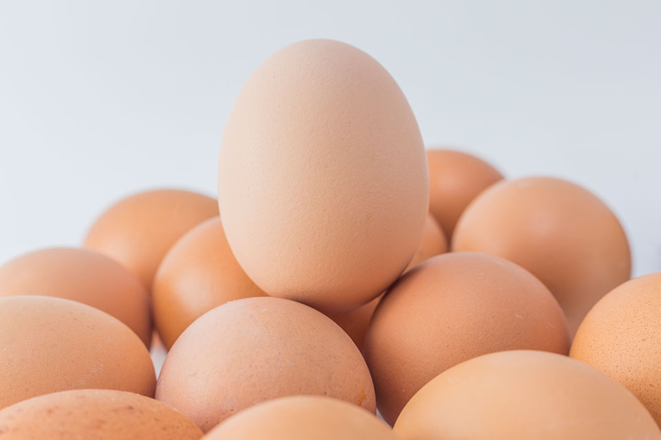 Huevos
