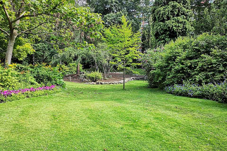 Jardín