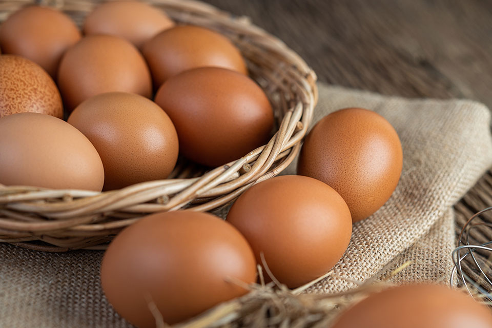 Huevos-1