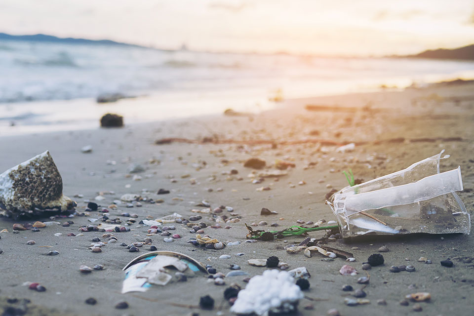 Micro plastico