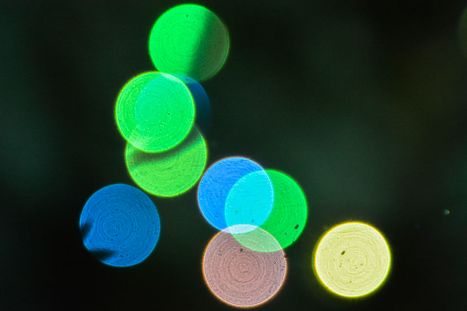 Color