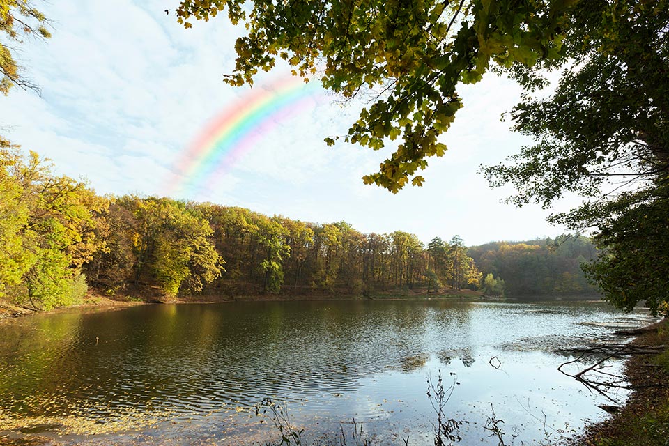 arcoiris