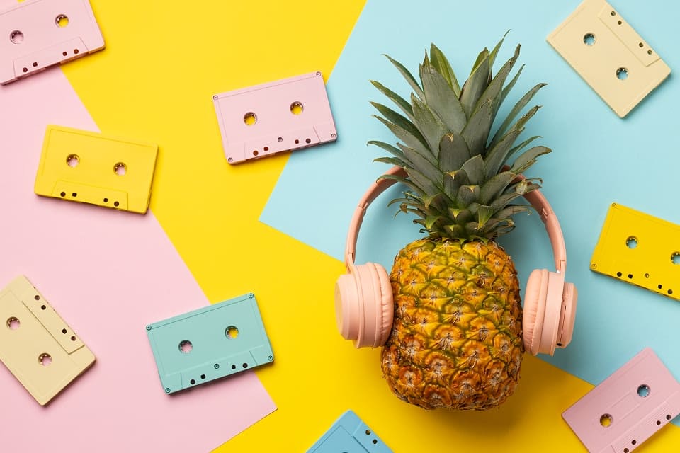 planta musica