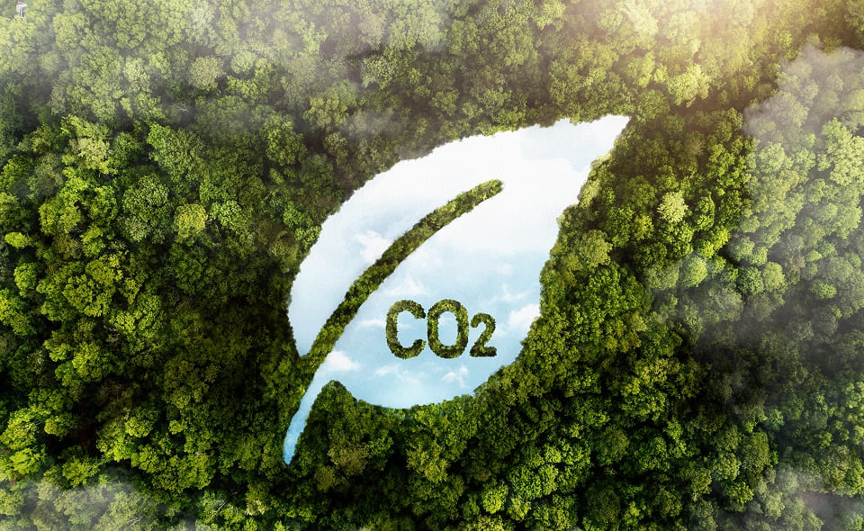 biocombustibles